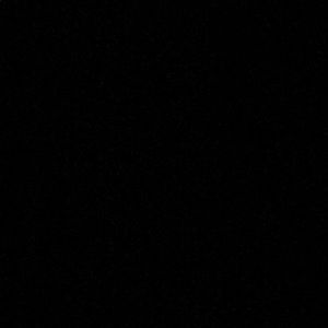 Meet your Posher, Jessie